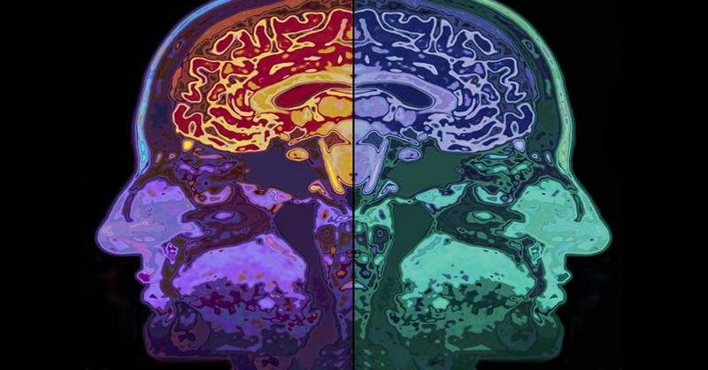 Ďalší výskum potvrdil zmeny v štruktúre a výkone mozgu meditujúcich ľudí