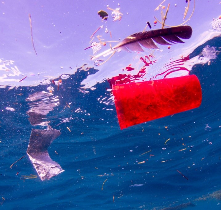 V Karibskom mori objavili niekoľko míľ dlhé zhluky plastového odpadu. Jeho prítomnosť má za následok vymieranie morských živočíchov