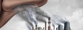Vedci z Yalovej univerzity zistili, že znečistené ovzdušie je jednou z hlavných príčin rýchleho znižovania inteligencie populácie