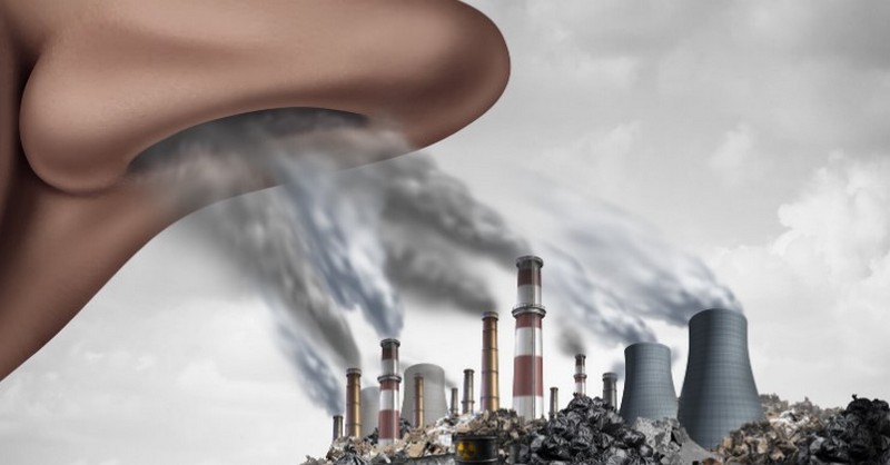 Vedci z Yalovej univerzity zistili, že znečistené ovzdušie je jednou z hlavných príčin rýchleho znižovania inteligencie populácie